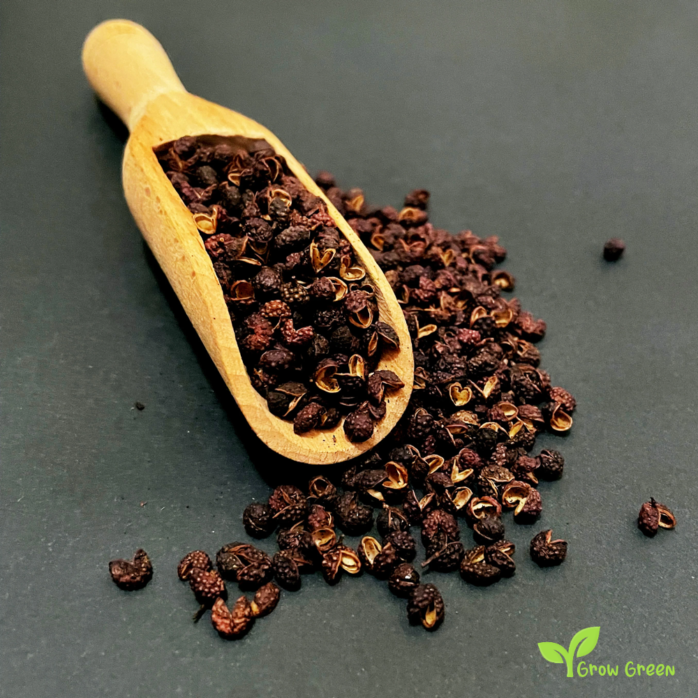 10 seeds of Nepalese Timur Pepper - ZANTHOXYLUM ARMATUM + Gift 5 seeds of Sunflower