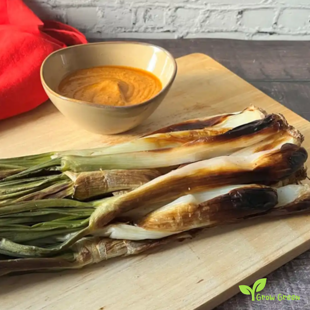 20 seeds of Calcot - ALLUM CEPA - Calçots + Gift 5 seeds of Sunflower