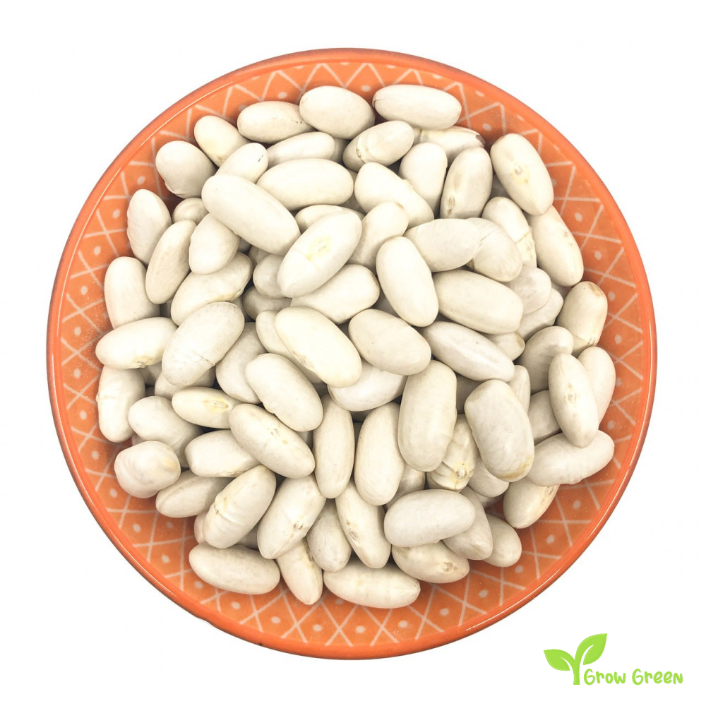 100 seeds of Cannellini Bean - PHASEOLUS VULGARIS + 5 seeds Sunflower
