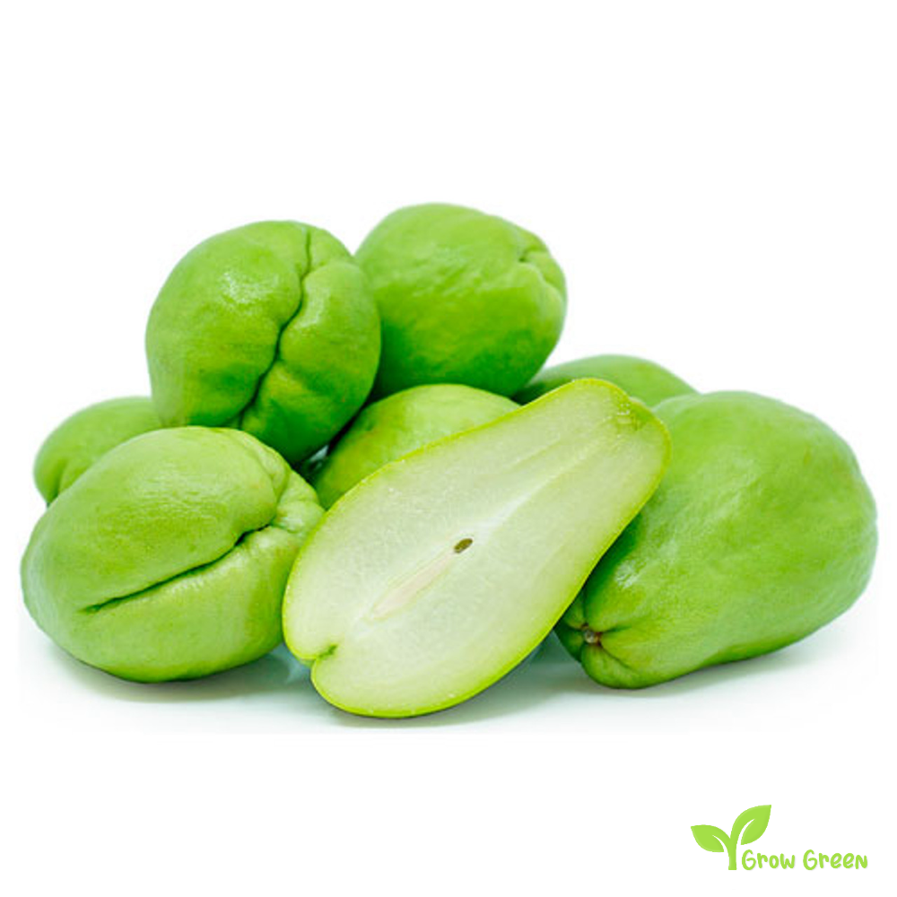 1 seed of Chayote - SECHIUM EDULE - Choko + 5 seeds Sunflower