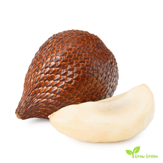1 seeds of Snake Fruit - SALACCA ZALACCA - Salak + 5 seeds Sunflower