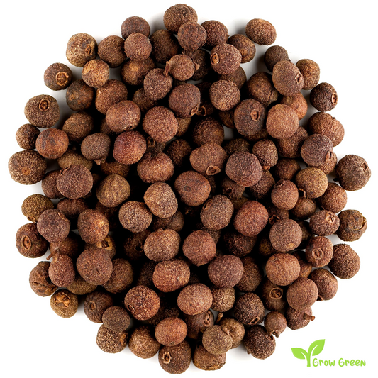 15 berries of Allspice - PIMENTA DIOICA - Pimento + 5 seeds Sunflower