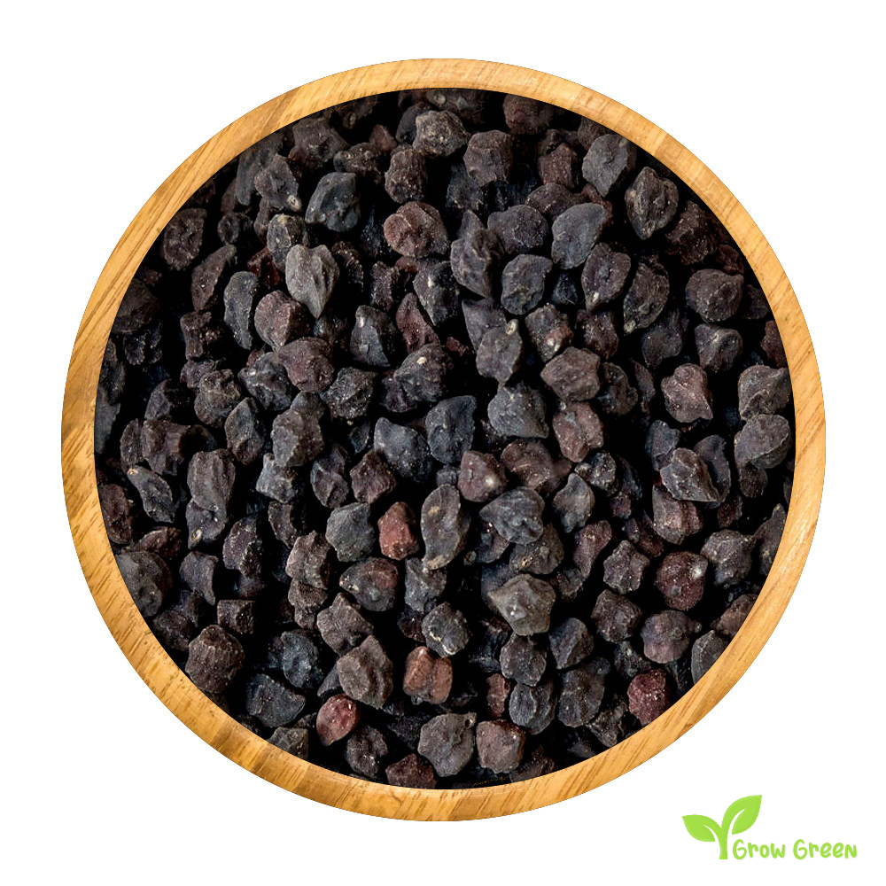15 seeds of Black Chickpea - CICER ARIETINUM + Kala chana + 5 seeds Sunflower