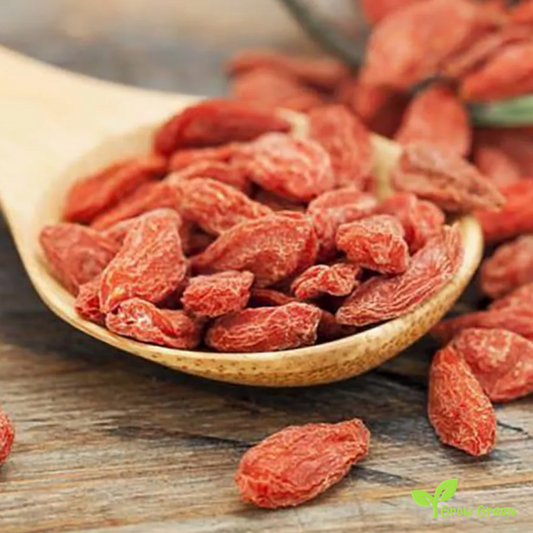 15 seeds of Goji - LYCIUM BARBARUM - Wolf Berry - Plus 5 seeds of Sunflower