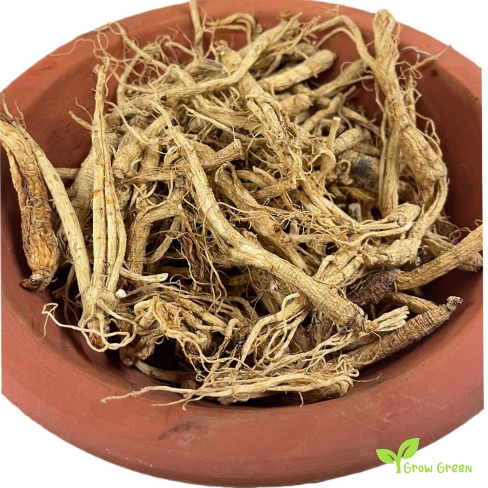 10 seeds of Indian Ginseng - WITHANIA SOMNIFERA - Ashwagandha + 5seeds of Sunflower