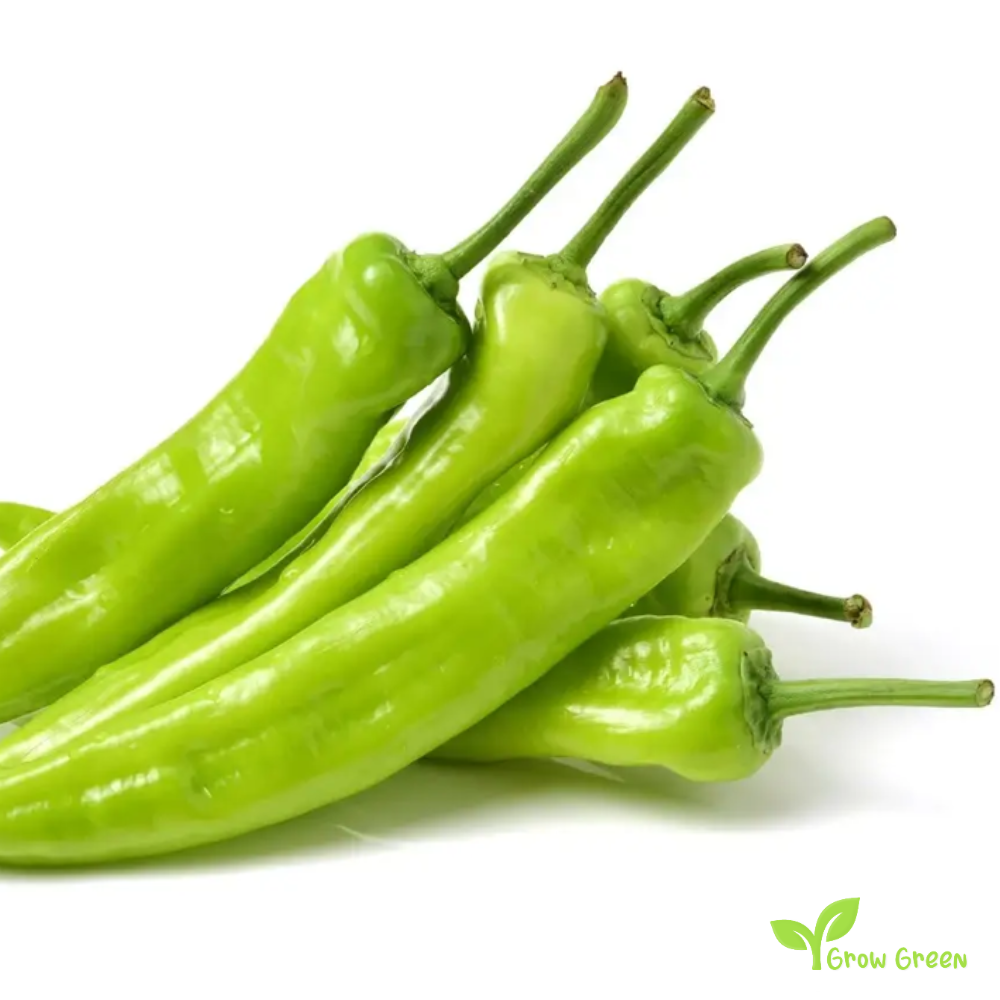 10 seeds of Pepper Carliston - CAPSICUM ANNUUM - Biber + 5 seeds of Sunflower