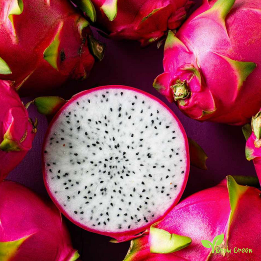 10 seeds Red Dragon Fruit HYLOCEREUS UNDATUS White Fleshed Pitahaya + 5 seeds Sunflower
