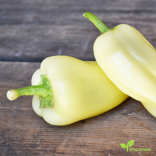 10 seeds White Gypsy Pepper - CAPSICUM ANNUUM - Cubanelle + 5 seeds Sunflower