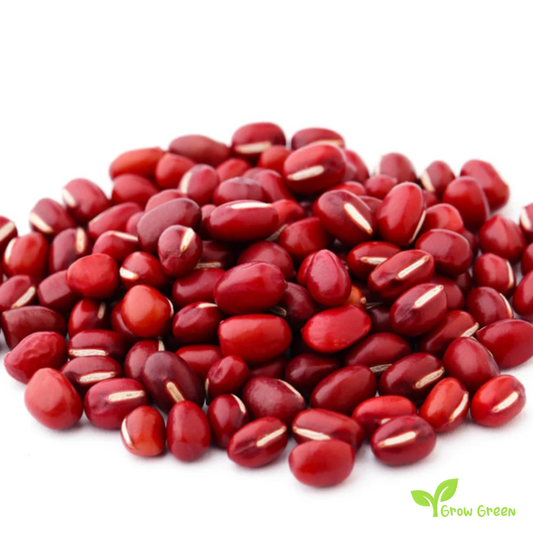 100 seeds of Adzuki Bean - VIGNA ANGULARIS - Red Mung + GIFT 5 seeds Sunflower