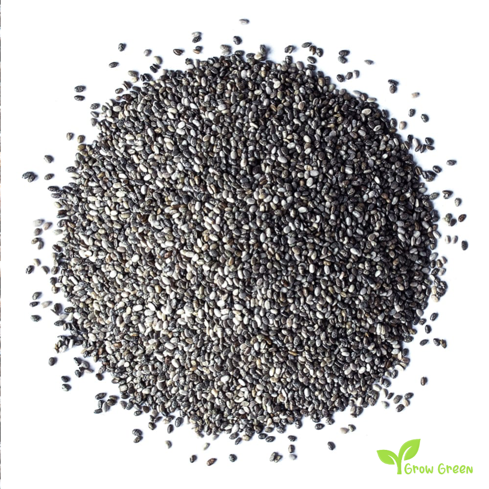 100 seeds of Black Chia - SALVIA HISPANICA + 5 seeds of Sunflower