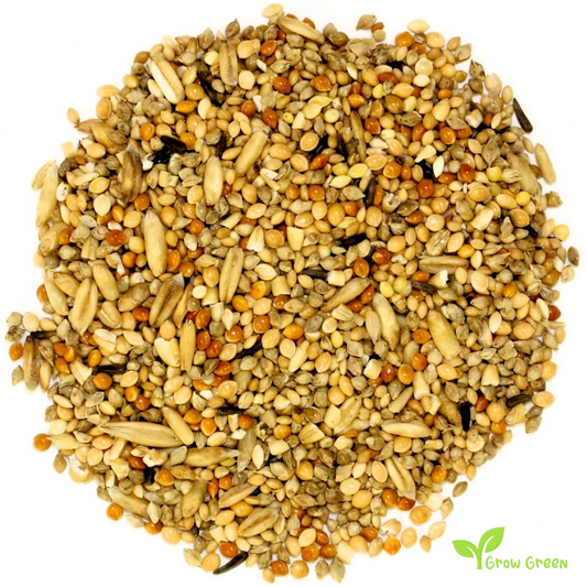 100 seeds of Budgie Seeds Mix + 5 seeds of Sunflower