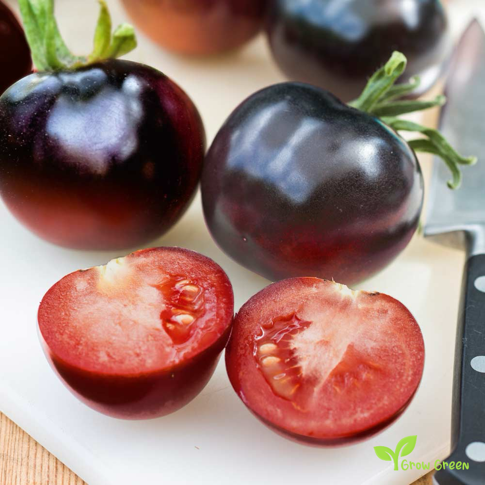 10 seeds Black Tomato - SOLANUM LYCOPERSICUM + 5 seeds of Sunflower