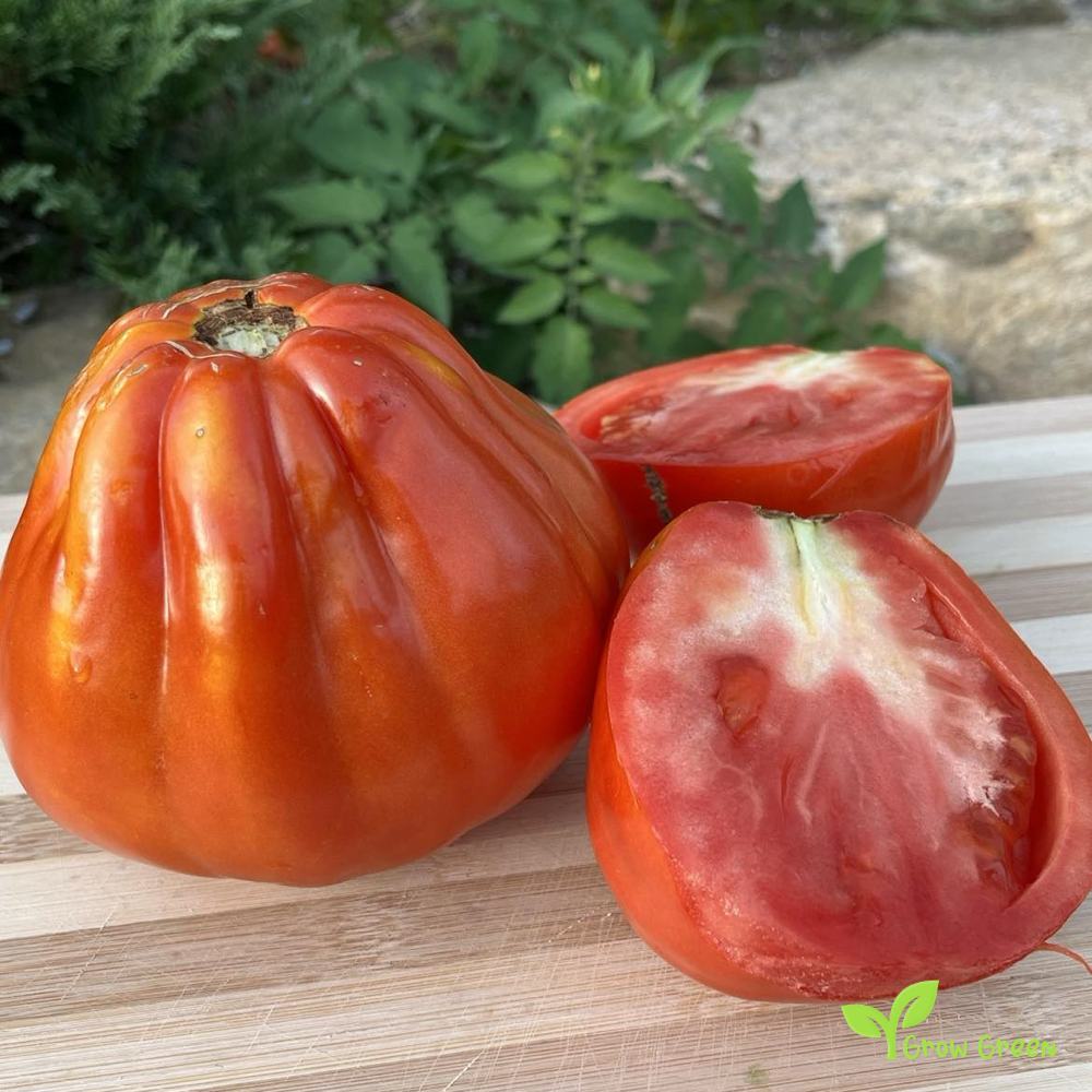 10 seeds Cow Heart Tomato - SOLANUM LYCOPERSICUM + 5 seeds of Sunflower