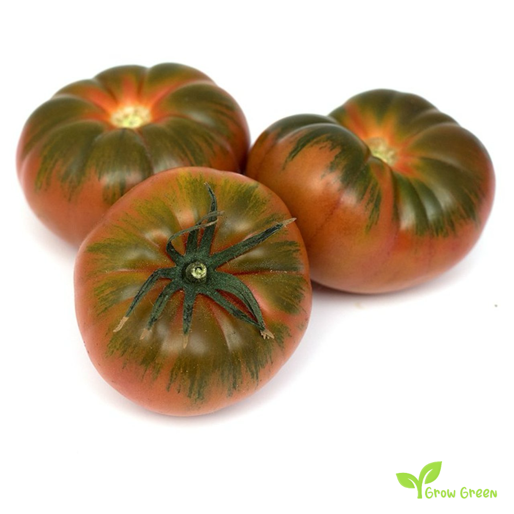 10 seeds Natoora Winter Raf Tomato - SOLANUM LYCOPERSICUM + 5 seeds of Sunflower