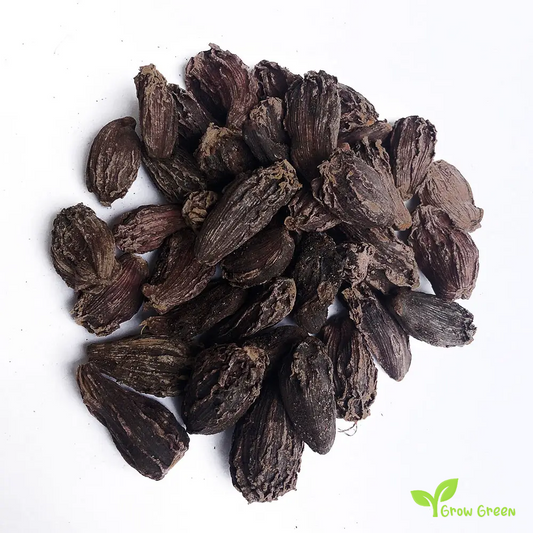 20 seeds of Black Cardamom - AMOMUM SUBULATUM + 5 seeds of Sunflower