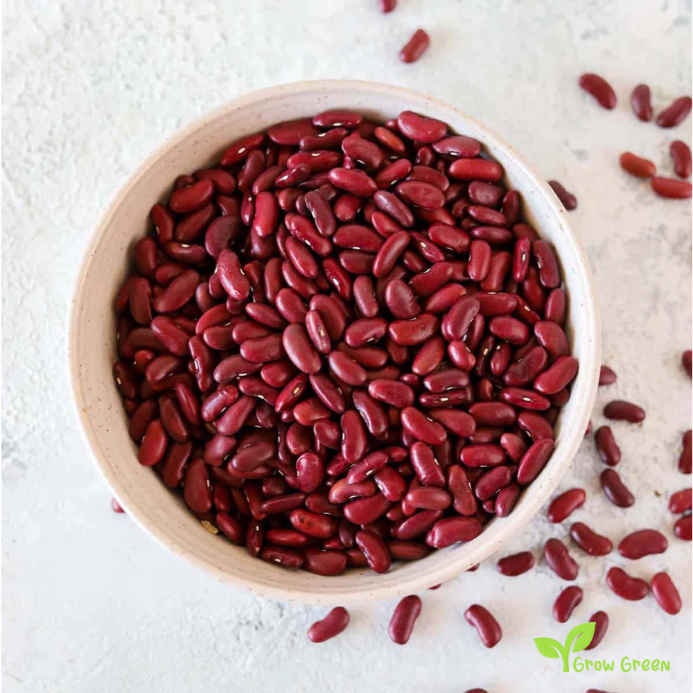 50 seeds of Kidney Bean - PHASEOLUS VULGARIS + 5 seeds of Sunflower