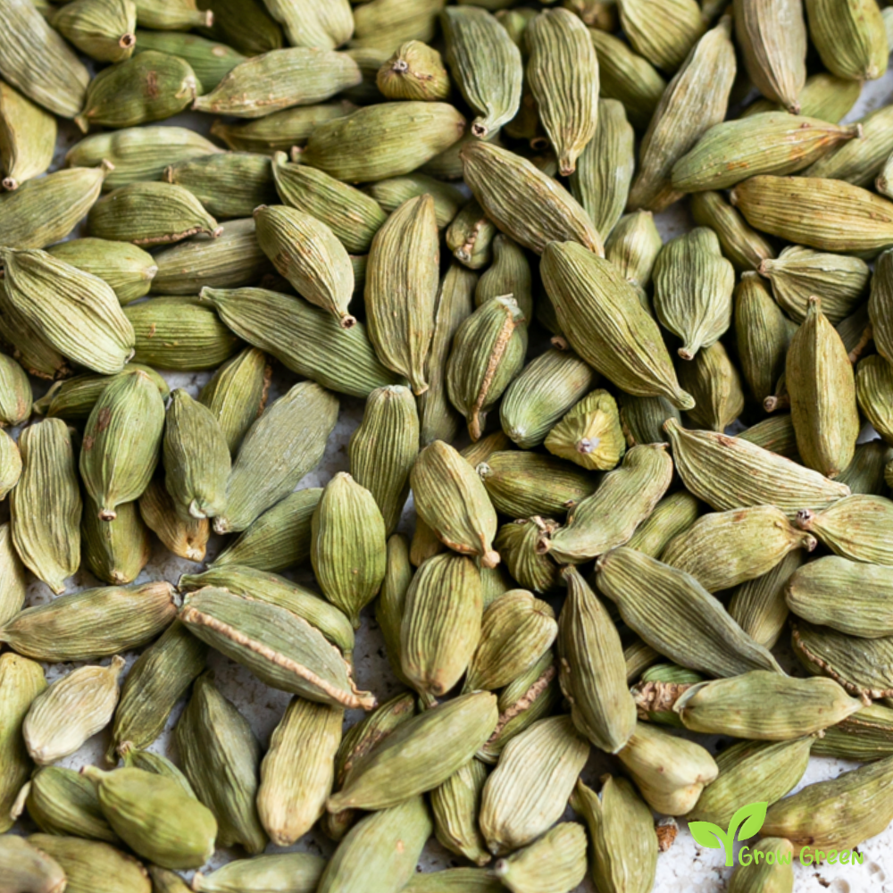 20 seeds of Cardamom - ELETTARIA CARDAMOMUM + 5 seeds of Sunflower