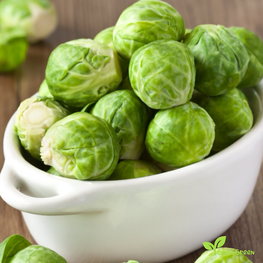 40 seeds of Brussels Sprout - BRASSICA OLERACEA + 5 seeds of Sunflower