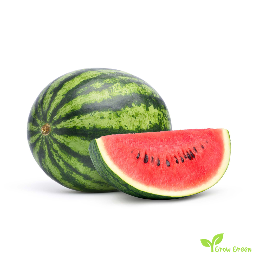 30 seeds of Watermelon - CITRULLUS IANATUS - 5 seeds of Sunflower