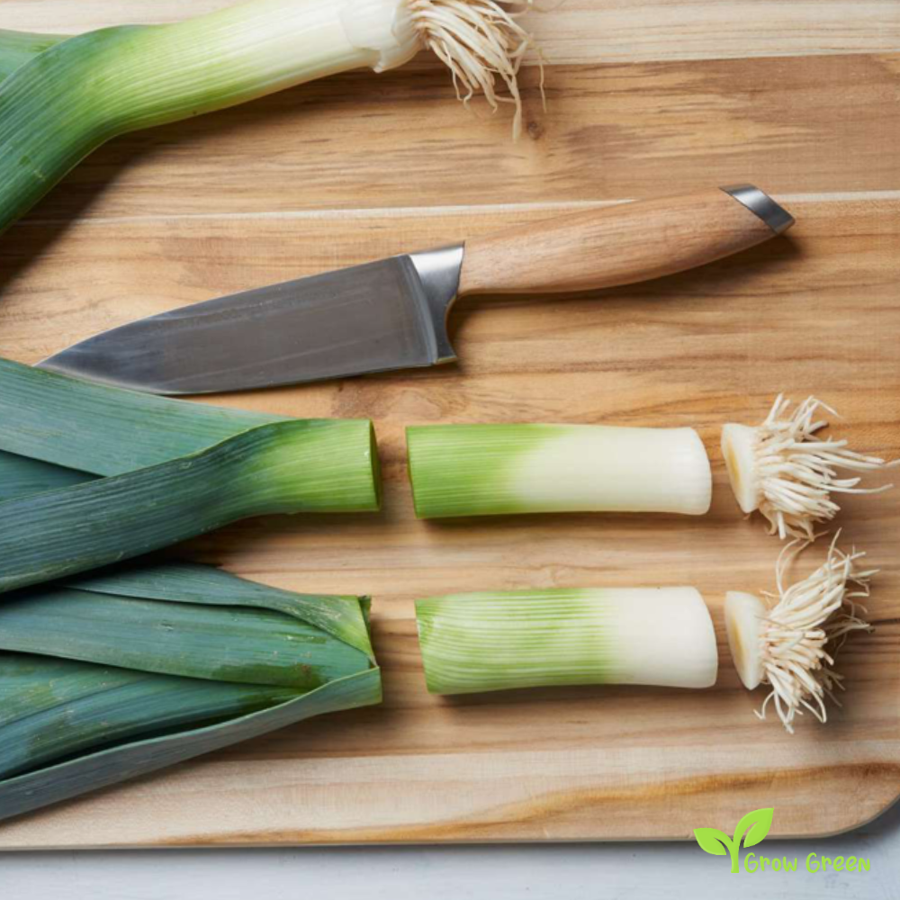 50 seeds of Leek - ALLIUM AMPELOPRASUM + Gift 5 seeds Sunflower