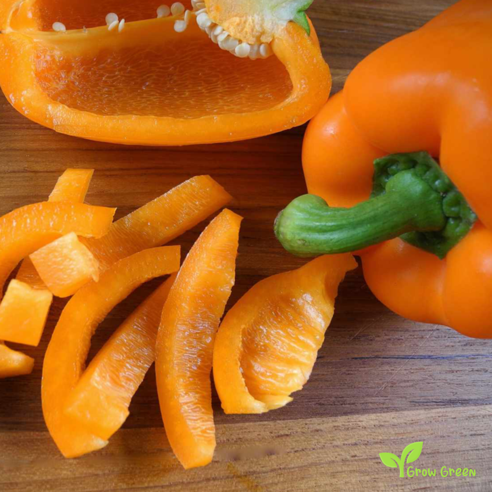 30 seeds Orange Bell Pepper - CAPSICUM ANNUUM - Sweet Pepper + Gift 5 seeds Sunflower