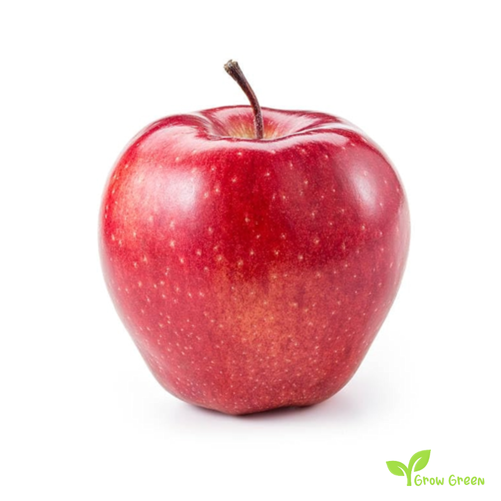 5 seeds of Red Apple - MALUS DOMESTICA + Gift 5 seeds Sunflower