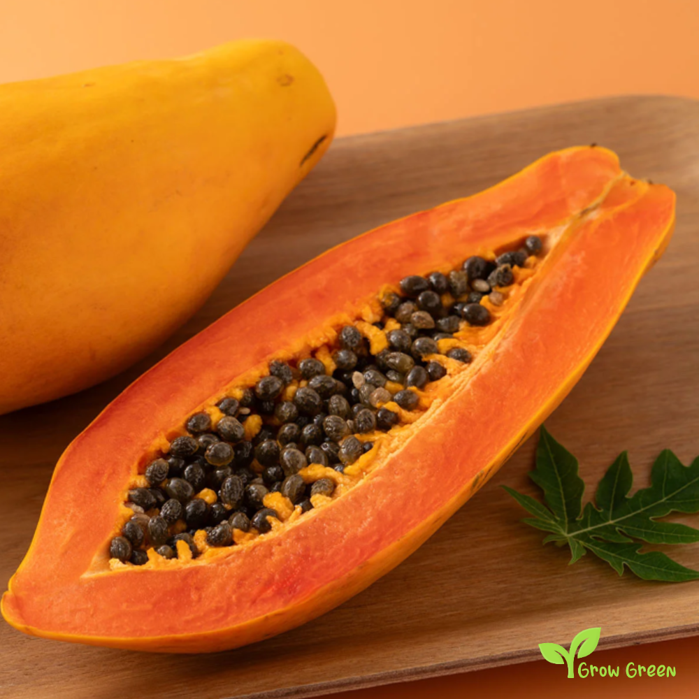 30 seeds of Giant Papaya - CARICA PAPAYA + Gift 5 seeds Sunflower