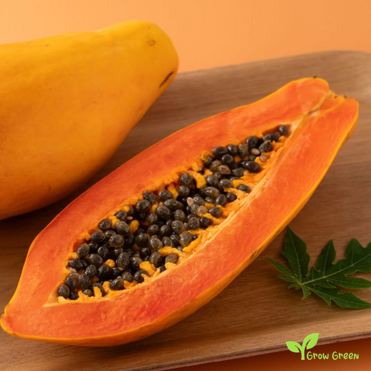 30 seeds of Giant Papaya - CARICA PAPAYA + Gift 5 seeds Sunflower