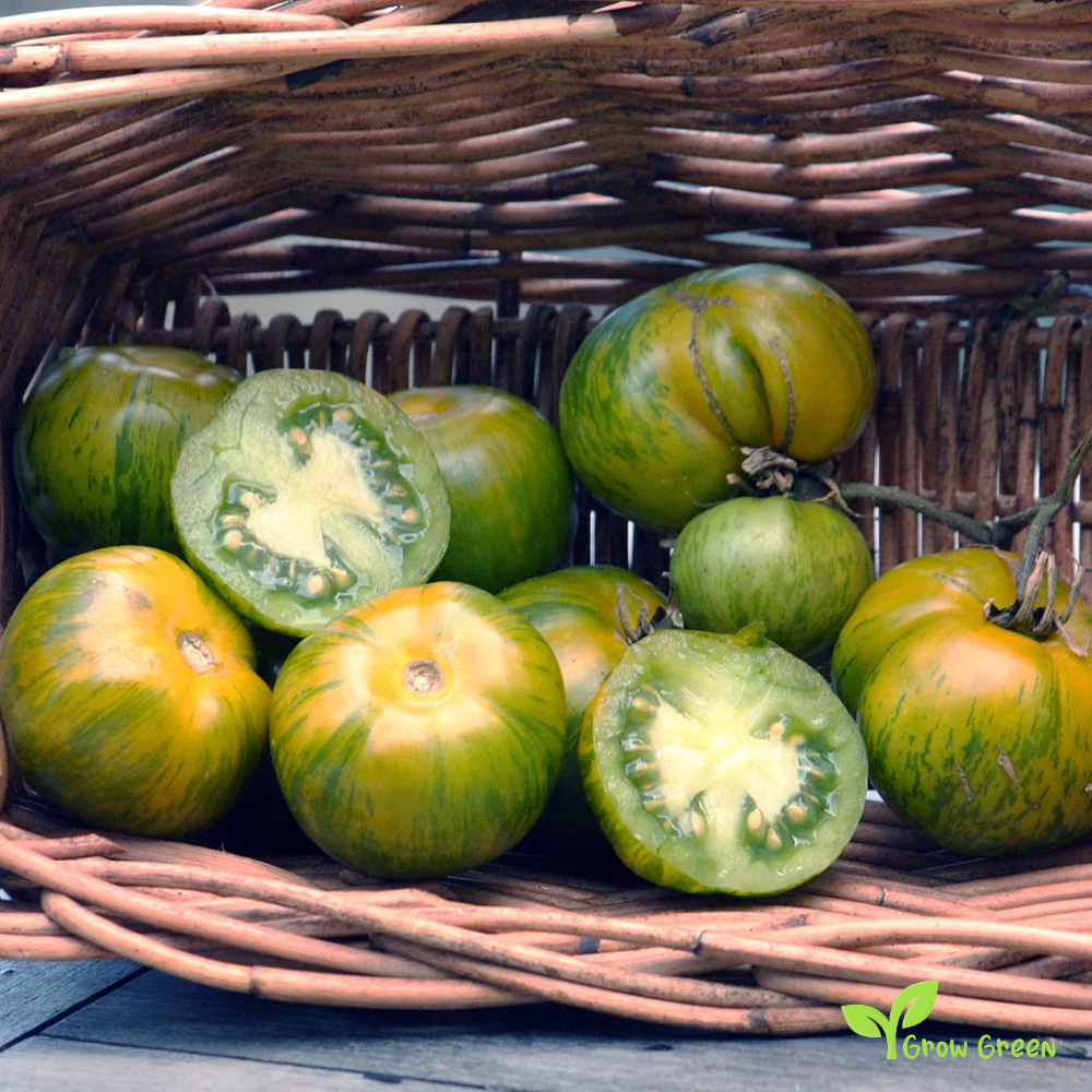 10 seeds Green Zebra Tomato - SOLANUM LYCOPERSICUM + Gift 5 seeds Sunflower