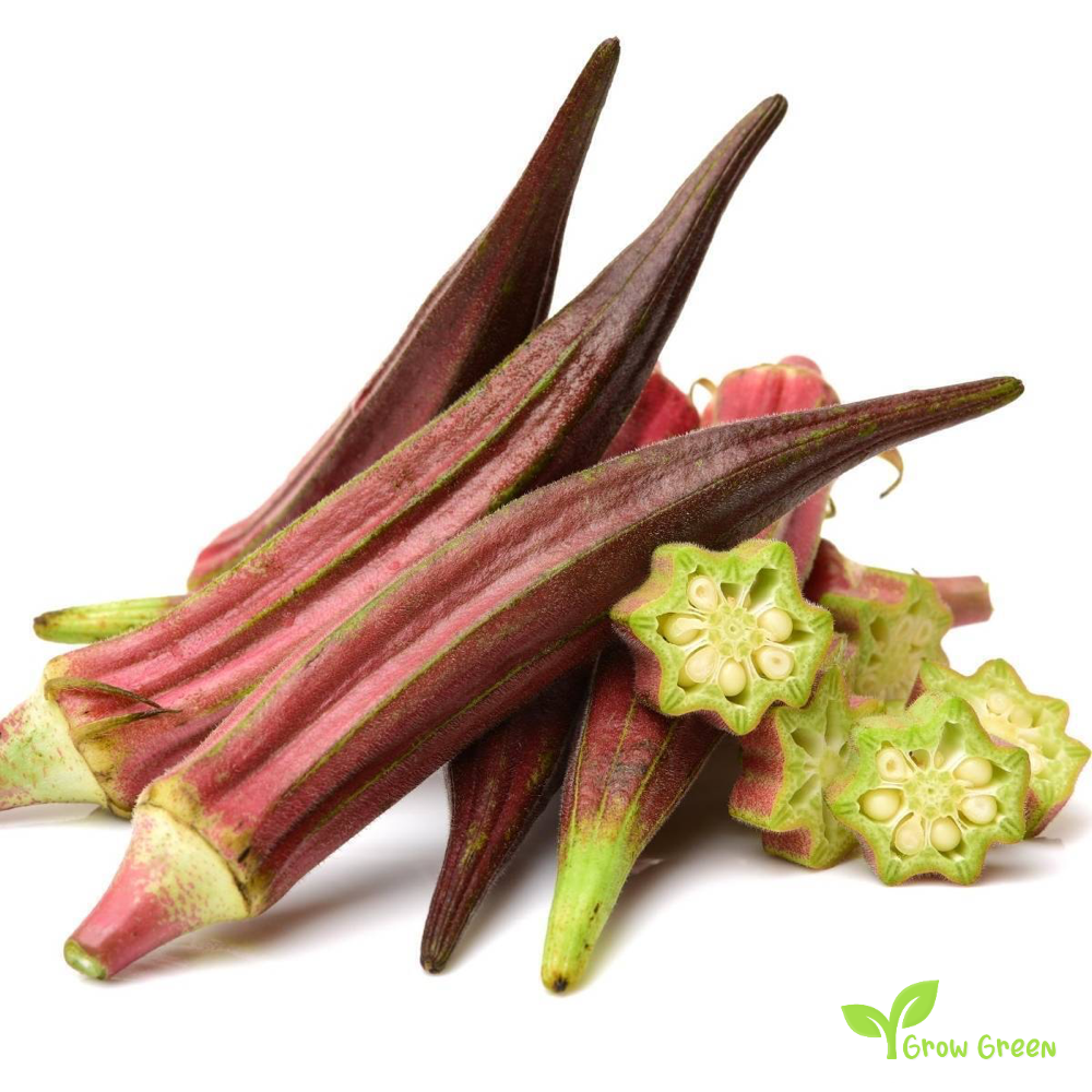 5 seeds of Red Okra - ABELMOSCHUS ESCULENTUS - Okro + Gift 5 seeds Sunflower