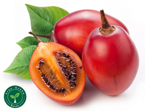 Tamarillo | 20 seeds + Gift of 5 seeds of Sunflower 🌻